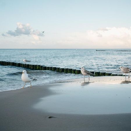 Kamphof Usedom Ferienanlage Loddin Buitenkant foto