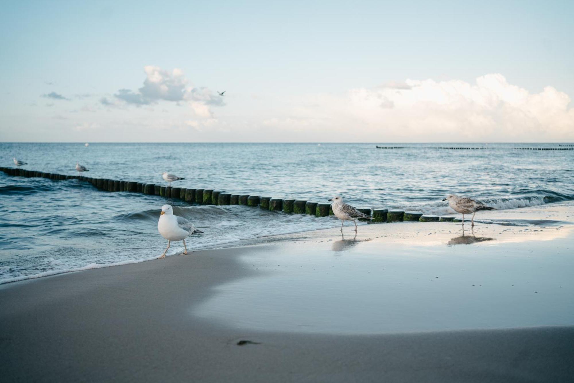 Kamphof Usedom Ferienanlage Loddin Buitenkant foto